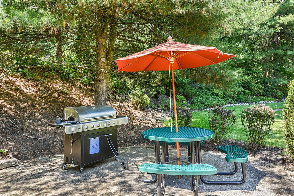Enjoy a meal with friends in the community picnic area with grill  at Residences at Westborough Station, Westborough, MA