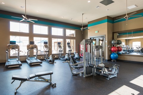 a gym with weights and cardio equipment and windows at Estate at Woodmen Ridge, Colorado Springs, 80923