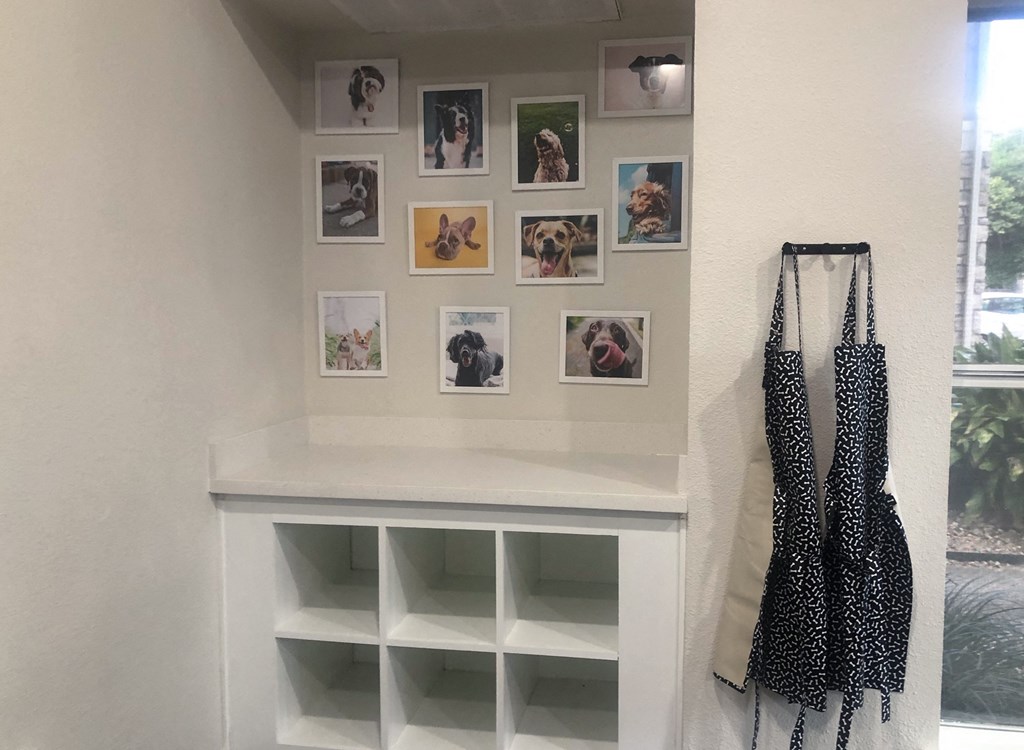 Dog Spa at Stonelake at the Arboretum, Austin, TX, 78759