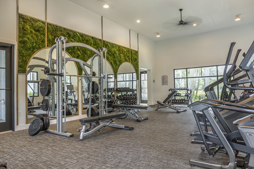 A gym with a green wall and a variety of equipment.