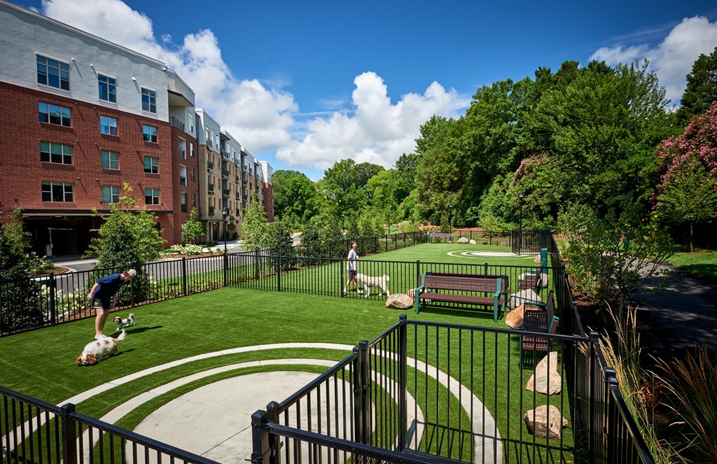 Dog park at Inspire, Charlotte, NC, 28211
