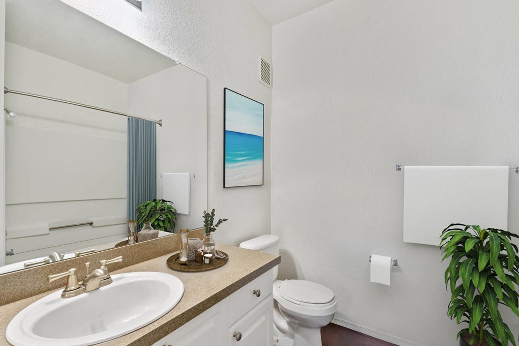 a bathroom with a sink and a toilet and a mirror at Bella Vista on Park, Plant City Florida
