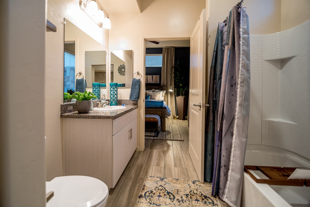 Bathroom at Pima Canyon, Arizona, 85704