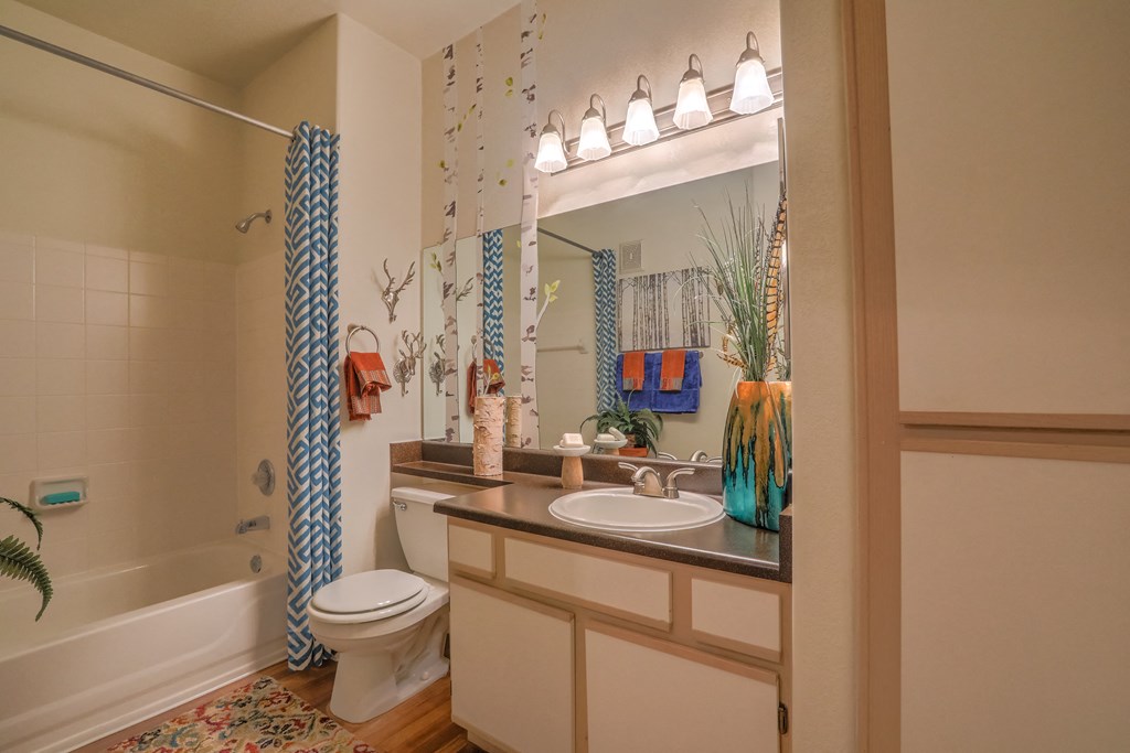 Bathroom Fitters at Arterra, Albuquerque, 87113
