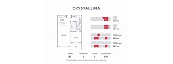 A diagram of a model B1 apartment layout with approximate square footage of 593.