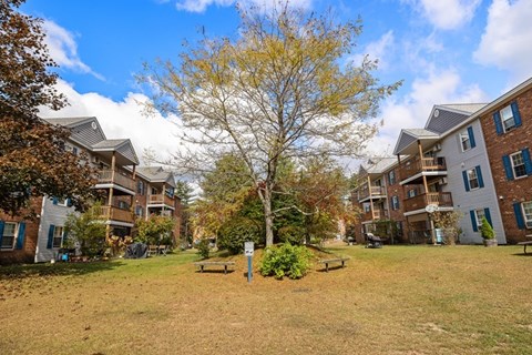 A tree in a grassy area with apartment buildings in the background.