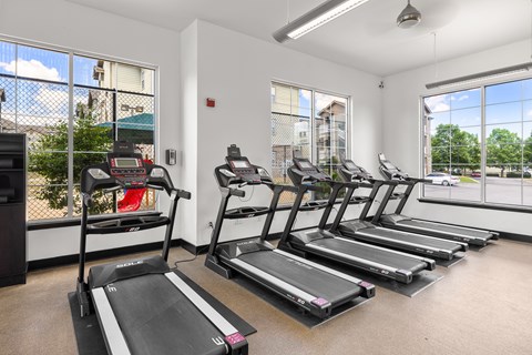 A gym with treadmills and a view of the outside.