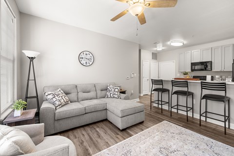 A living room with a grey sofa and a bar area.