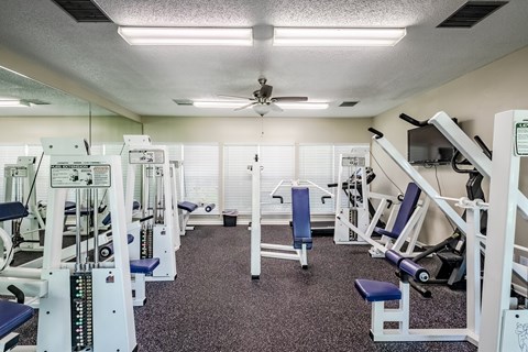 A well-equipped gym with various machines and weightlifting equipment.
