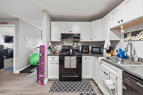 A kitchen with white cabinets and a black and white rug on the floor.