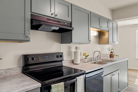 A kitchen with a black stove top oven and a black dishwasher.