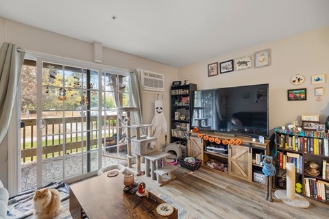 A living room with a cat on the table.