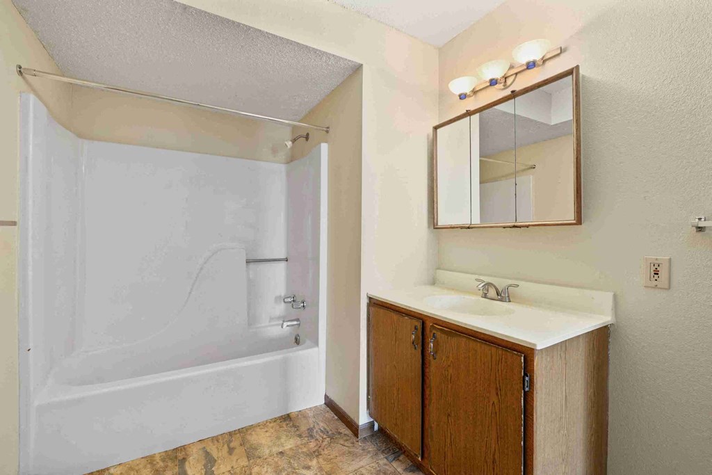 a bathroom with a sink and a shower and a mirror