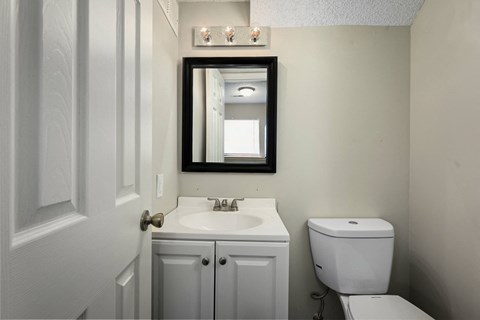 a bathroom with a sink and a mirror and a toilet