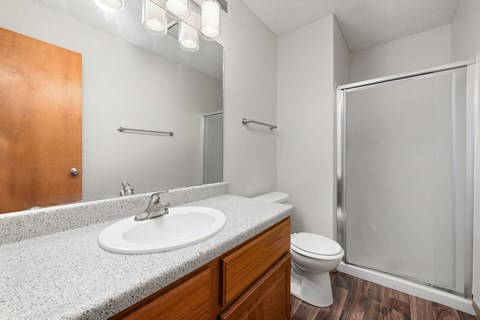 the preserve at ballantyne commons apartment bathroom with sink toilet and shower
