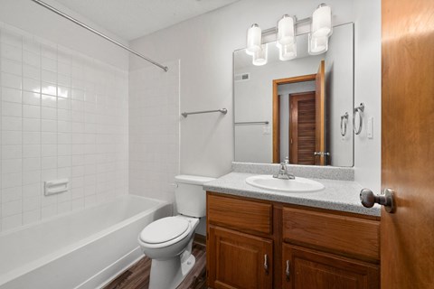 a bathroom with a sink and a toilet and a tub