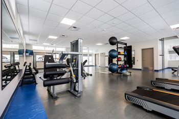 A gym with treadmills, weights and exercise equipment.
