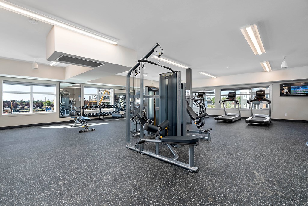 a gym with weights and other exercise equipment in a large room with windows