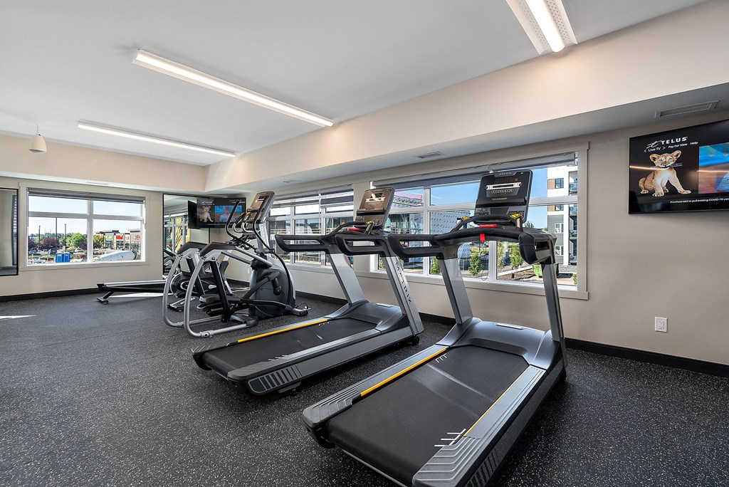 Cardio Machines at The Fifth at Palisades, Edmonton