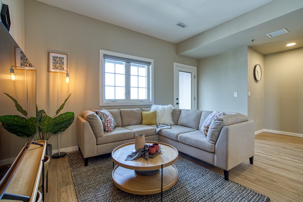 Interior - wide shot of living room