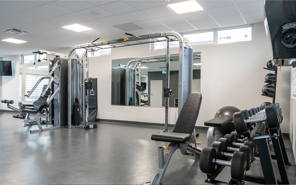 A gym with a variety of equipment including a leg press machine, a chest press machine, a lat pulldown machine, a seated calf raise machine, a leg curl machine, a leg extension machine, a seated row machine
