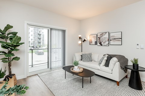 A living room with a white sofa, a coffee table, and a potted plant.