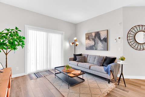 A living room with a grey couch, a coffee table, and a plant.