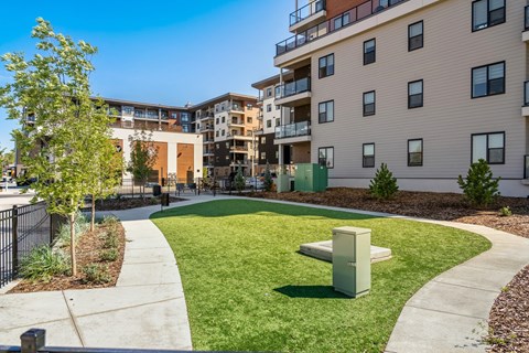 A grassy area with a bench and a tree in front of apartment buildings.