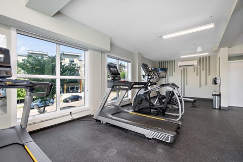 A treadmill and a stationary bike are in a well-lit room with a view of the outside.