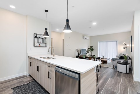 A modern kitchen with a dishwasher and sink.