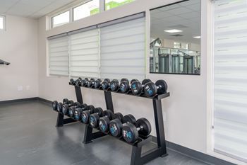 A set of black dumbbells with blue and white writing on them are on a rack in a room.