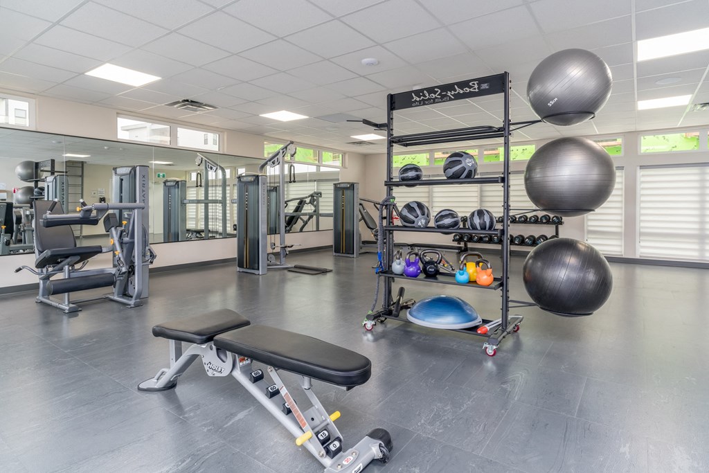 Interior - wide shot of fitness centre