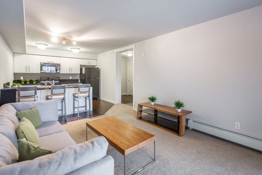 Interior - wide shot of living room and kitchen area.