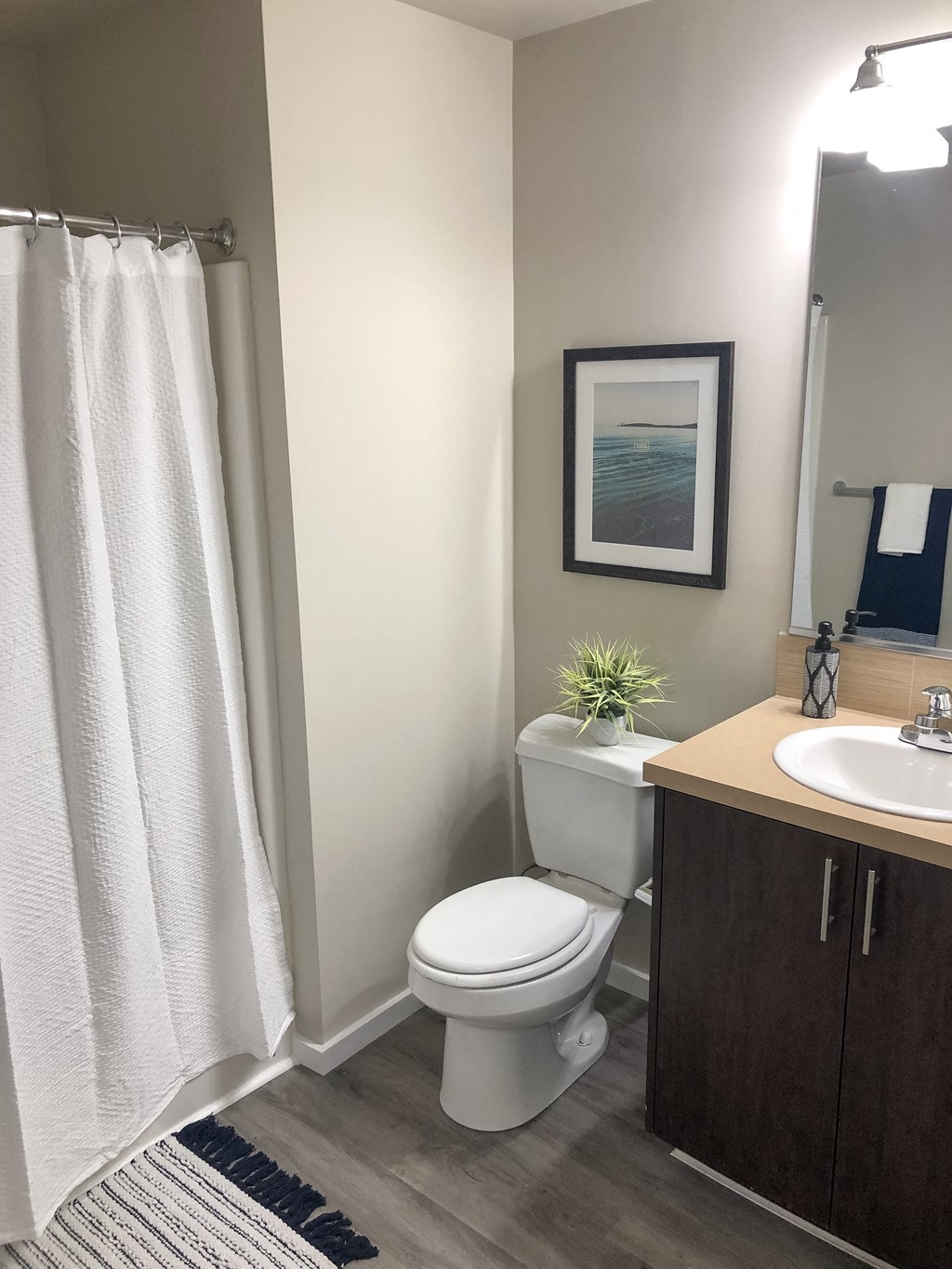 Interior - bathroom