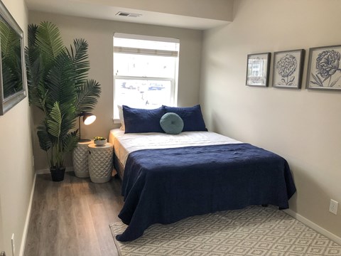 a bedroom with a bed and a plant and a window