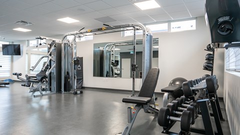 A gym with a variety of equipment including a treadmill, weights, and a bench.