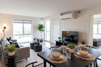 A modern living room with a grey couch, a black coffee table, and a flat screen TV.