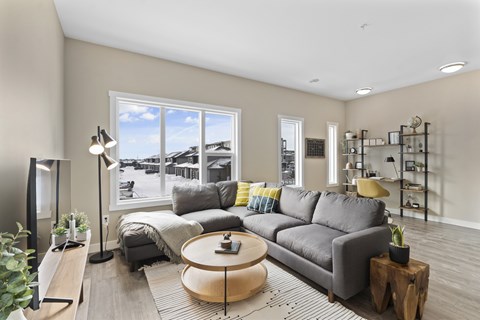 A living room with a grey couch and a coffee table.