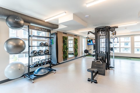 A gym with a variety of equipment including weights and a bench.