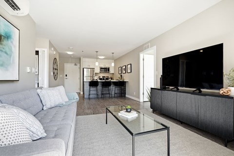 A modern living room with a grey couch and a glass coffee table.