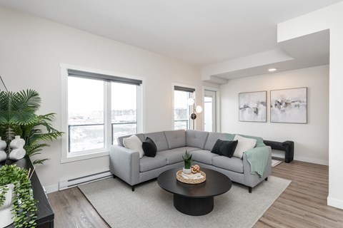 A modern living room with a grey sofa and a coffee table.