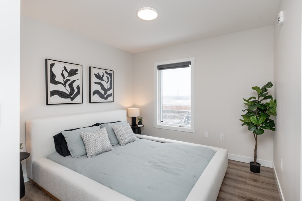 A bedroom with a bed, two wall art pieces, a nightstand with a lamp, and a potted plant.