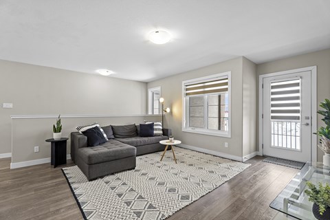 A living room with a grey couch and a patterned rug.