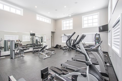 A spacious gym with treadmills, weights, and mirrors.