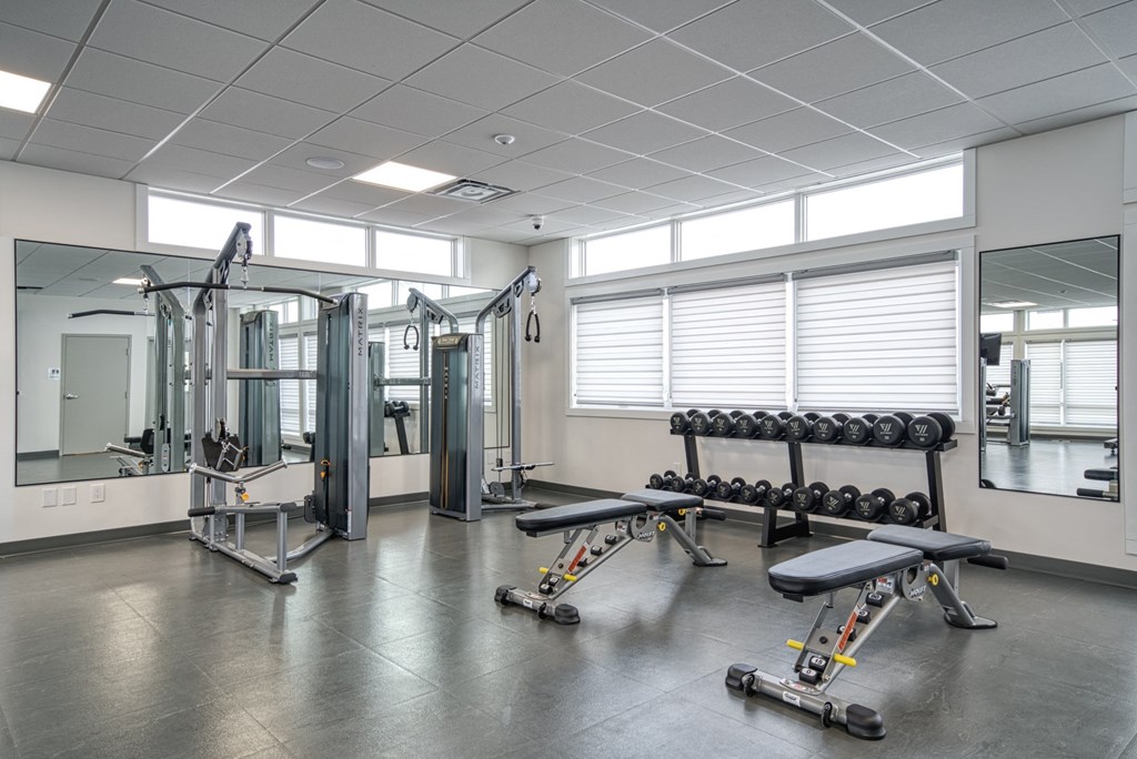 A gym with a variety of equipment including weights and a bench.