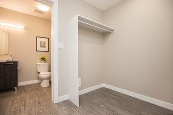 A bathroom with a toilet and a small plant on the counter.