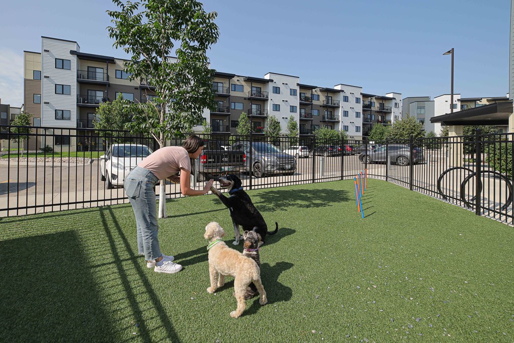 A woman is playing with her dog in a dog park.