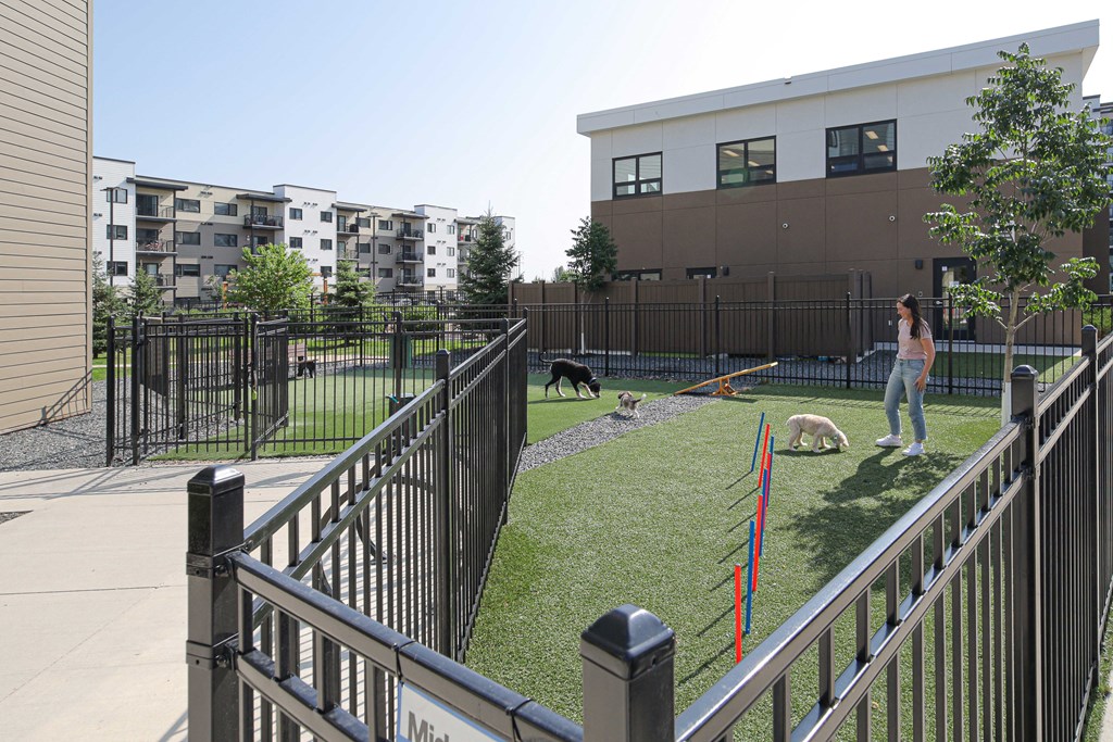 A woman is walking her dog in a fenced yard.