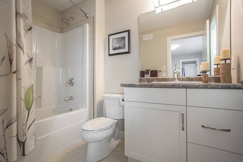 Interior - bathroom