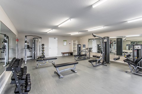 A spacious gym with a variety of equipment including a bench press, a squat rack, and a weight machine.